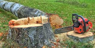 Reliable Burton, OH Tree Removal and Landscaping Services Solutions